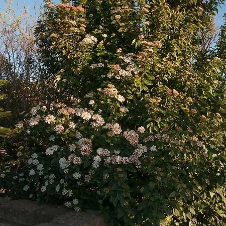 Bed and Breakfast L'orizzonte Civitavecchia